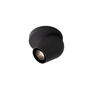 Intra Lighting Pixy C/W Spot Matt Schwarz