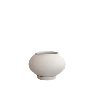 101 Copenhagen Sunao Dicke Topfpflanze Mittlere Birke