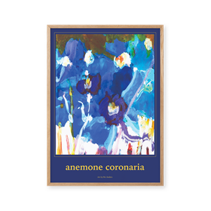 Peléton Anemone Coronaria 50x70 Poster